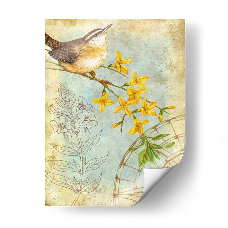 Sketchbook De Songbird I - Jane Maday | Cuadro decorativo de Canvas Lab