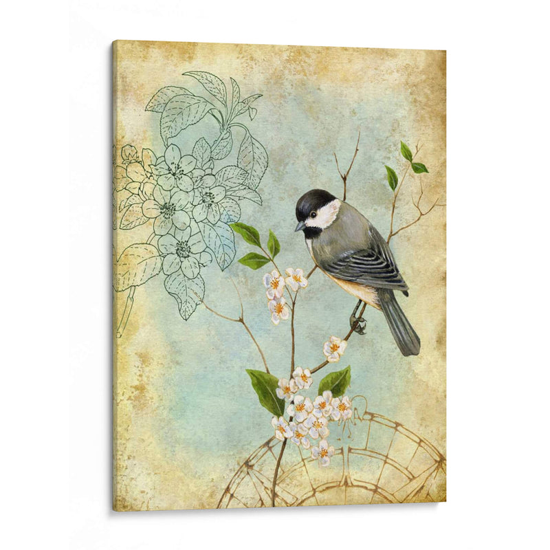 Sketchbook Ii Songbird - Jane Maday | Cuadro decorativo de Canvas Lab