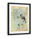 Sketchbook Ii Songbird - Jane Maday | Cuadro decorativo de Canvas Lab