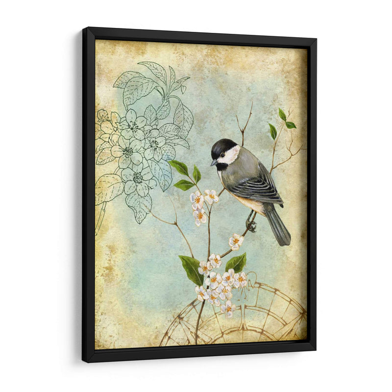 Sketchbook Ii Songbird - Jane Maday | Cuadro decorativo de Canvas Lab