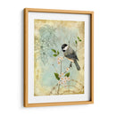 Sketchbook Ii Songbird - Jane Maday | Cuadro decorativo de Canvas Lab