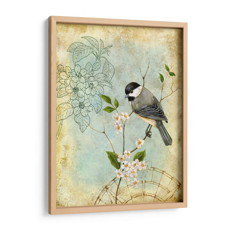 Sketchbook Ii Songbird - Jane Maday | Cuadro decorativo de Canvas Lab