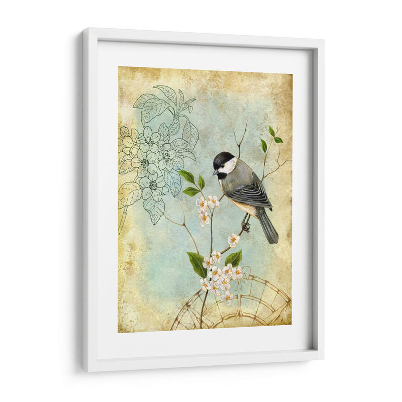 Sketchbook Ii Songbird - Jane Maday | Cuadro decorativo de Canvas Lab