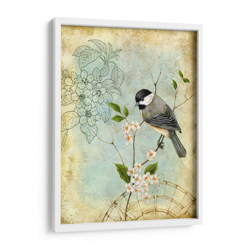 Sketchbook Ii Songbird - Jane Maday | Cuadro decorativo de Canvas Lab