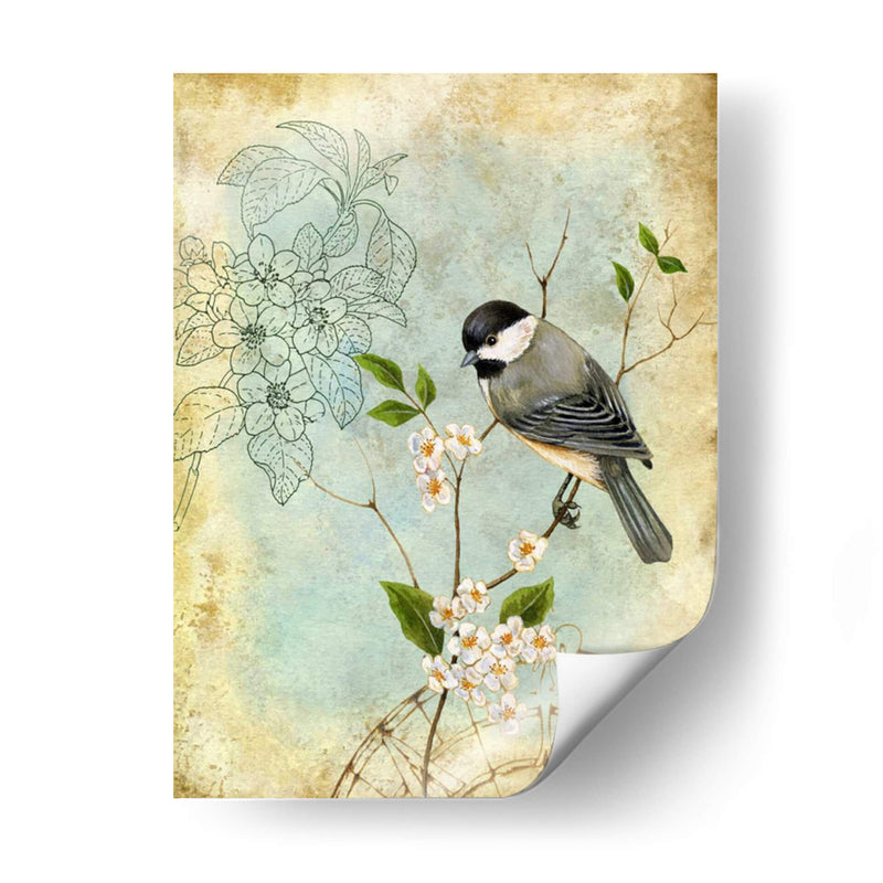 Sketchbook Ii Songbird - Jane Maday | Cuadro decorativo de Canvas Lab