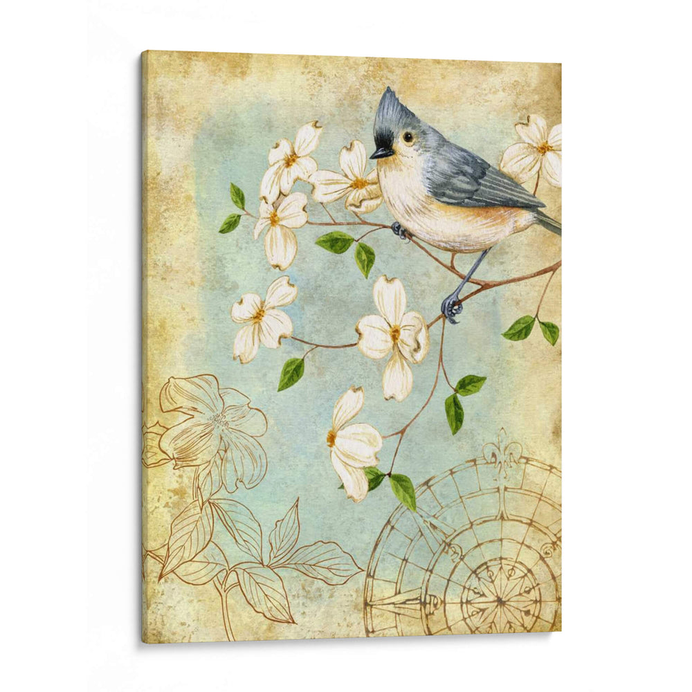 Sketchbook De Songbird Iv - Jane Maday | Cuadro decorativo de Canvas Lab