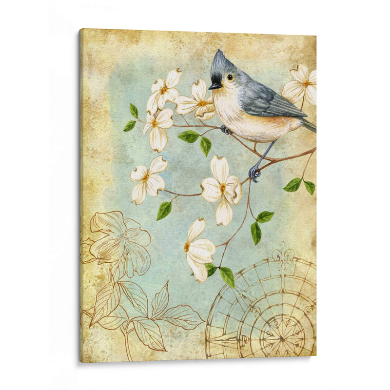 Sketchbook De Songbird Iv - Jane Maday | Cuadro decorativo de Canvas Lab