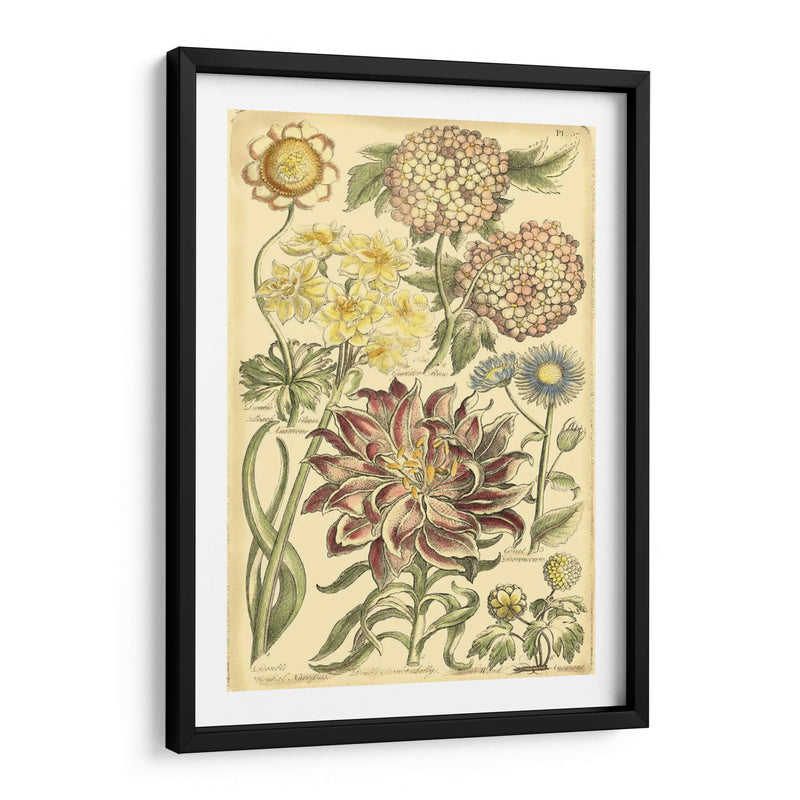 Bounty Floral I - Vision Studio | Cuadro decorativo de Canvas Lab