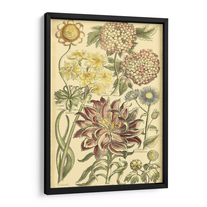 Bounty Floral I - Vision Studio | Cuadro decorativo de Canvas Lab