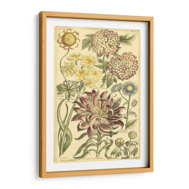 Bounty Floral I - Vision Studio | Cuadro decorativo de Canvas Lab