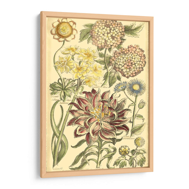 Bounty Floral I - Vision Studio | Cuadro decorativo de Canvas Lab