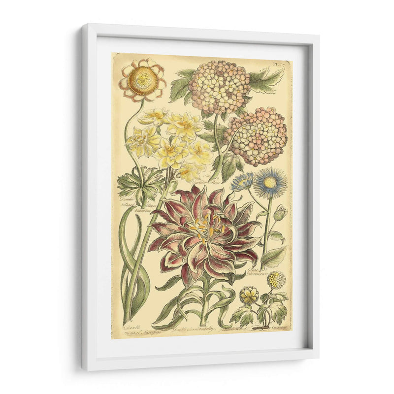 Bounty Floral I - Vision Studio | Cuadro decorativo de Canvas Lab