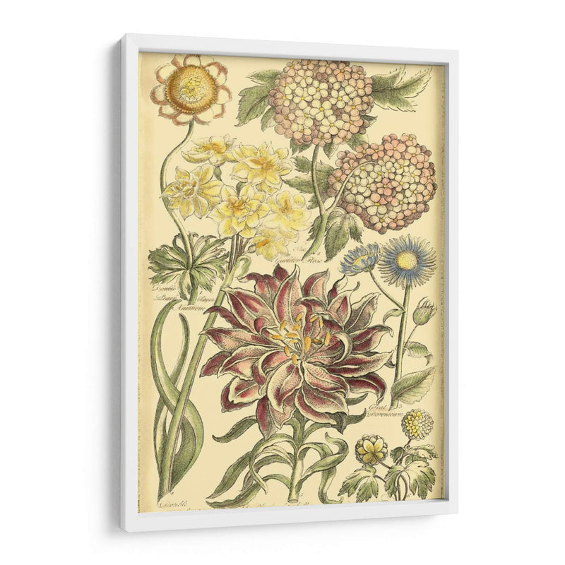 Bounty Floral I - Vision Studio | Cuadro decorativo de Canvas Lab