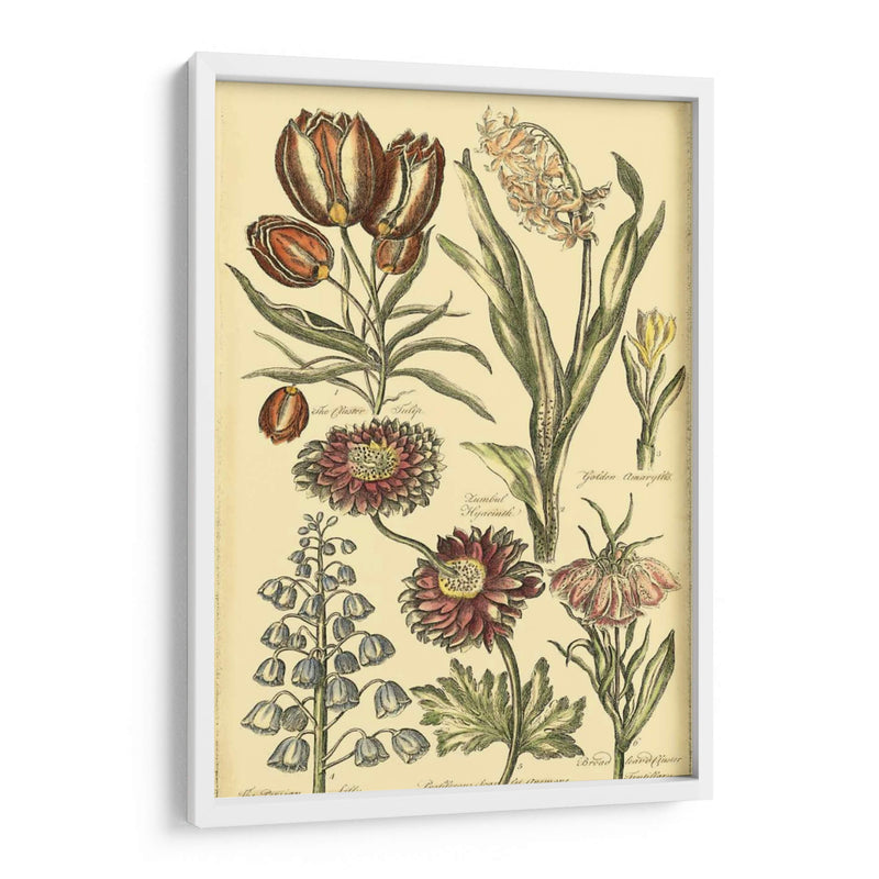 Bounty Ii Floral - Vision Studio | Cuadro decorativo de Canvas Lab