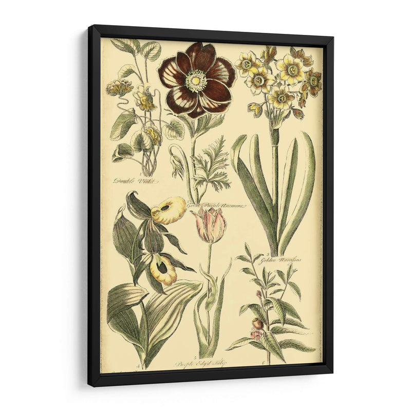 Bounty Iii Floral - Vision Studio | Cuadro decorativo de Canvas Lab