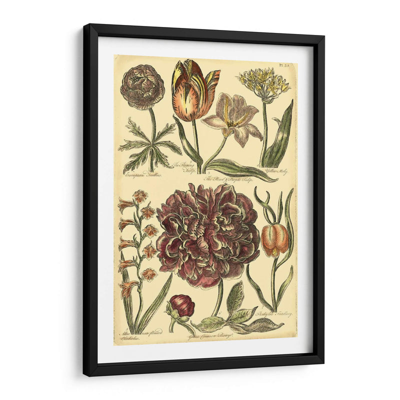 Bounty V Floral V - Vision Studio | Cuadro decorativo de Canvas Lab