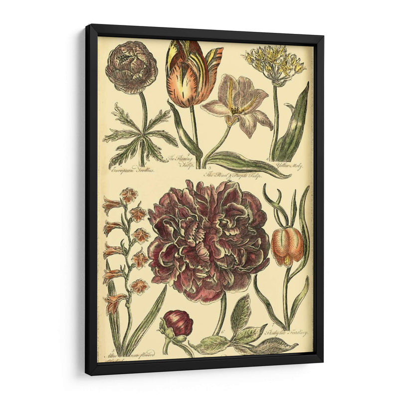 Bounty V Floral V - Vision Studio | Cuadro decorativo de Canvas Lab