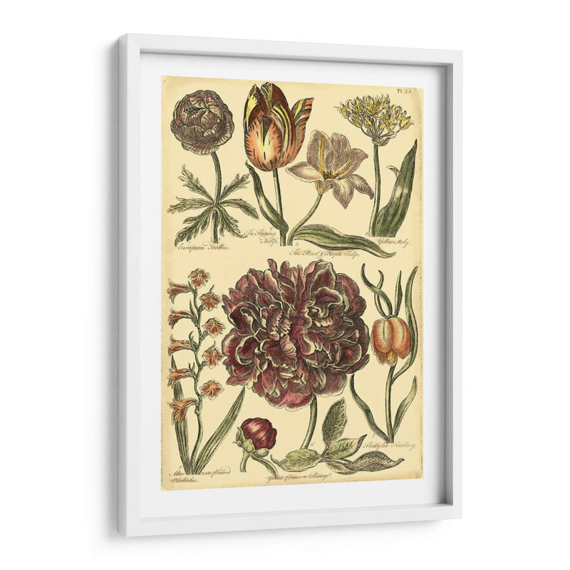 Bounty V Floral V - Vision Studio | Cuadro decorativo de Canvas Lab