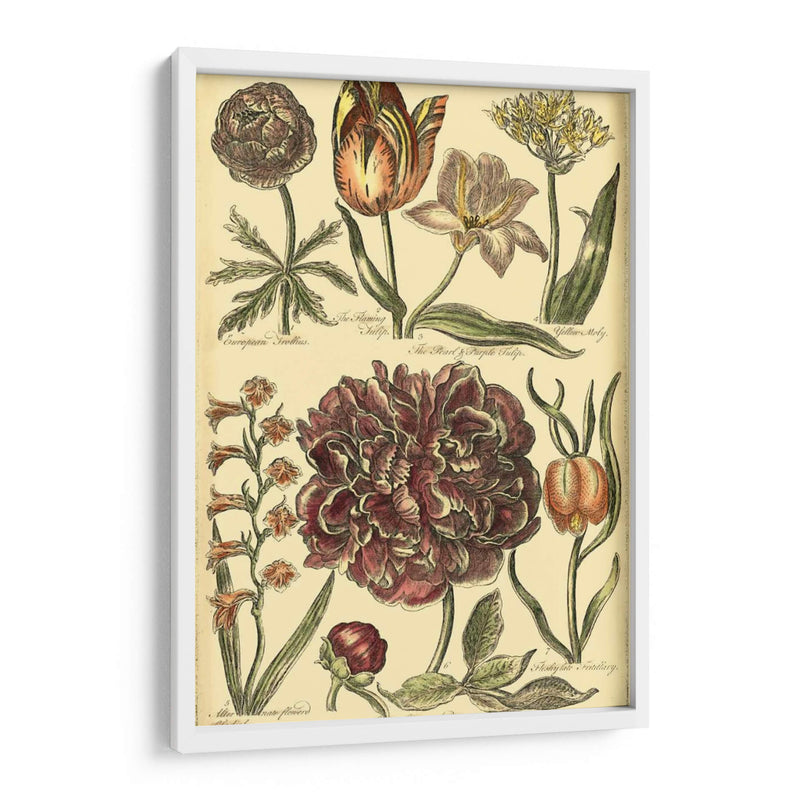 Bounty V Floral V - Vision Studio | Cuadro decorativo de Canvas Lab