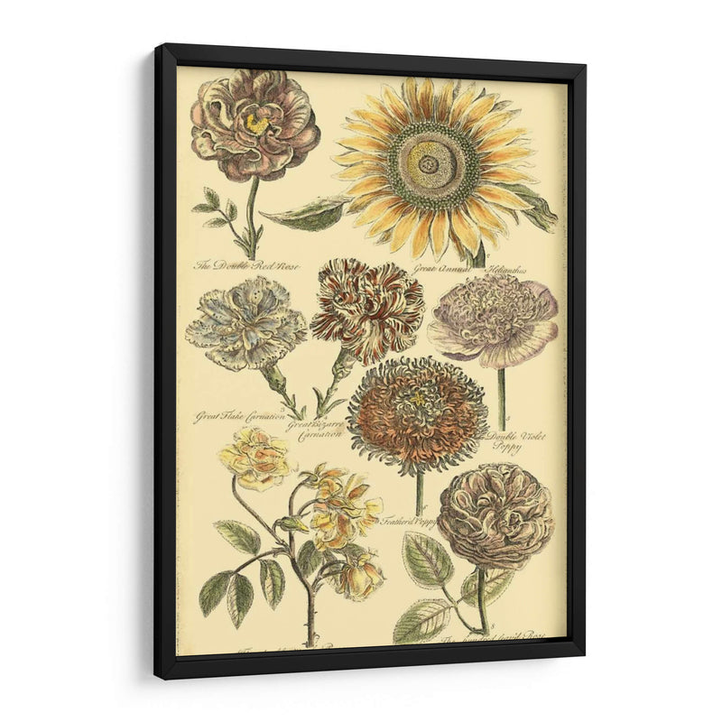 Bounty Vi Floral - Vision Studio | Cuadro decorativo de Canvas Lab