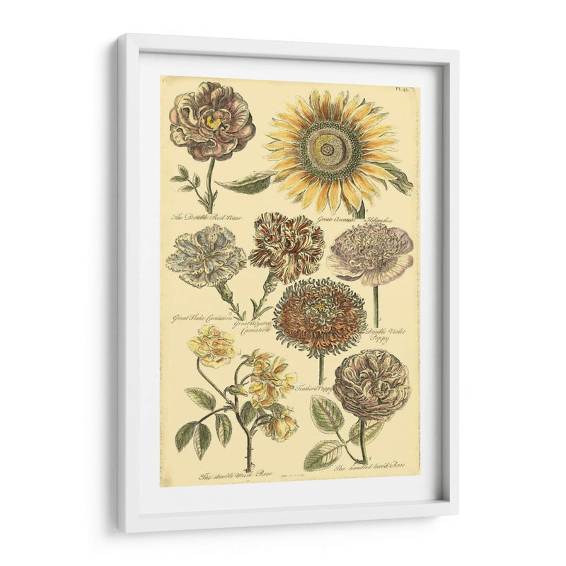 Bounty Vi Floral - Vision Studio | Cuadro decorativo de Canvas Lab