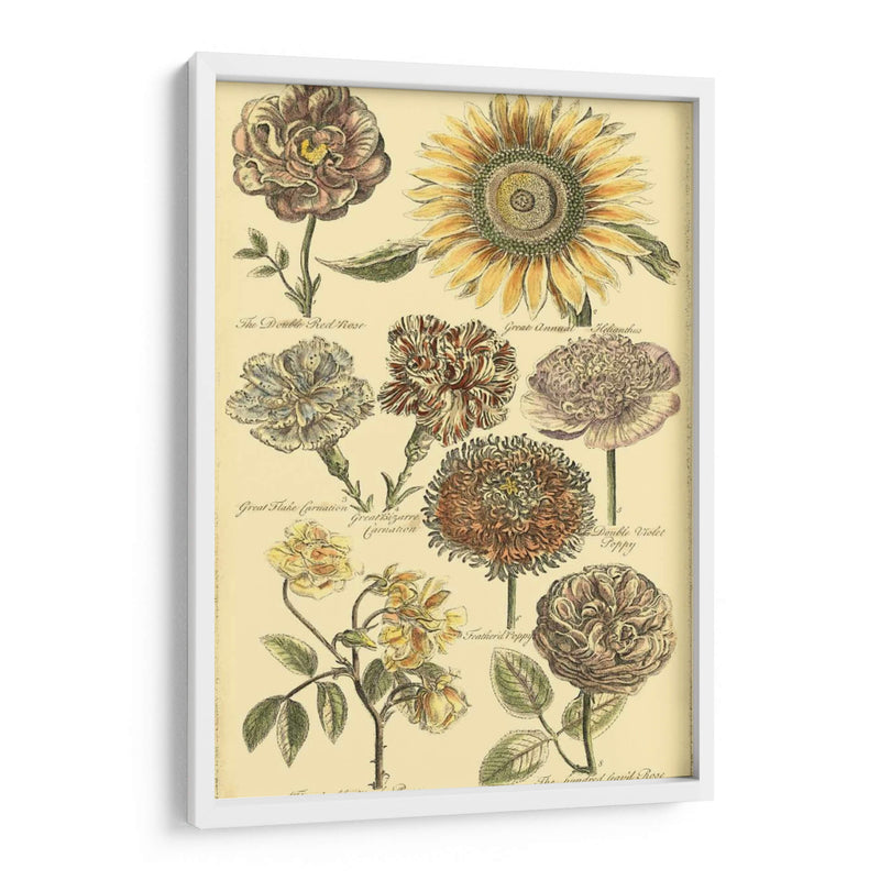 Bounty Vi Floral - Vision Studio | Cuadro decorativo de Canvas Lab