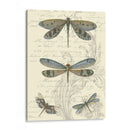Dragonfly Delight I - Vision Studio | Cuadro decorativo de Canvas Lab