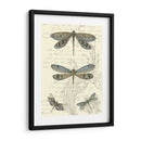 Dragonfly Delight I - Vision Studio | Cuadro decorativo de Canvas Lab