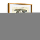Dragonfly Delight I - Vision Studio | Cuadro decorativo de Canvas Lab