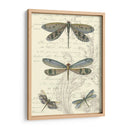 Dragonfly Delight I - Vision Studio | Cuadro decorativo de Canvas Lab