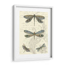 Dragonfly Delight I - Vision Studio | Cuadro decorativo de Canvas Lab