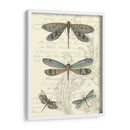 Dragonfly Delight I - Vision Studio | Cuadro decorativo de Canvas Lab