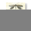 Dragonfly Delight I - Vision Studio | Cuadro decorativo de Canvas Lab