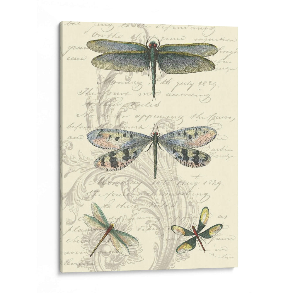 Dragonfly Delight Ii - Vision Studio | Cuadro decorativo de Canvas Lab