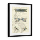 Dragonfly Delight Ii - Vision Studio | Cuadro decorativo de Canvas Lab