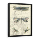 Dragonfly Delight Ii - Vision Studio | Cuadro decorativo de Canvas Lab