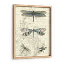 Dragonfly Delight Ii - Vision Studio | Cuadro decorativo de Canvas Lab
