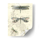 Dragonfly Delight Ii - Vision Studio | Cuadro decorativo de Canvas Lab