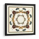Colector De Mariposa I - Chariklia Zarris | Cuadro decorativo de Canvas Lab