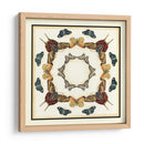 Colector De Mariposa I - Chariklia Zarris | Cuadro decorativo de Canvas Lab