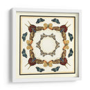 Colector De Mariposa I - Chariklia Zarris | Cuadro decorativo de Canvas Lab