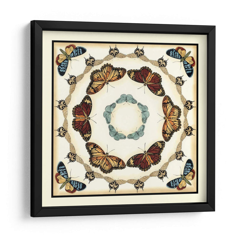 Colector De Mariposa Ii - Chariklia Zarris | Cuadro decorativo de Canvas Lab
