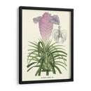 Lavanda Orchids Iii - P. Stroobant | Cuadro decorativo de Canvas Lab