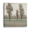 Árboles Brillantes I - Tim OToole | Cuadro decorativo de Canvas Lab