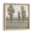 Árboles Brillantes I - Tim OToole | Cuadro decorativo de Canvas Lab