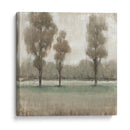 Árboles Brillantes Ii - Tim OToole | Cuadro decorativo de Canvas Lab