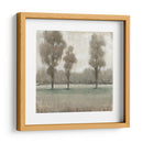 Árboles Brillantes Ii - Tim OToole | Cuadro decorativo de Canvas Lab