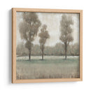 Árboles Brillantes Ii - Tim OToole | Cuadro decorativo de Canvas Lab