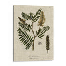 Ropa De Cama Y Hojas Iii - Vision Studio | Cuadro decorativo de Canvas Lab