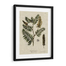 Ropa De Cama Y Hojas Iii - Vision Studio | Cuadro decorativo de Canvas Lab